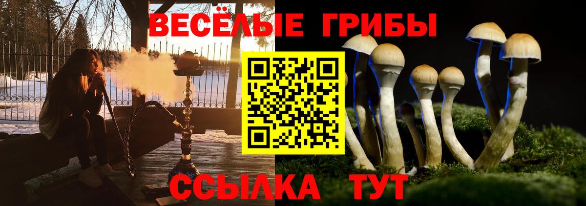 Псилоцибиновые грибы MAGIC MUSHROOMS Павлово