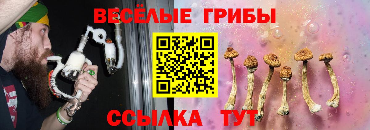 Галлюциногенные грибы прущие грибы  Вход с VPN  Павлово 